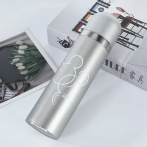 Thermos Disney Mickey en acier 500ml HIPPO